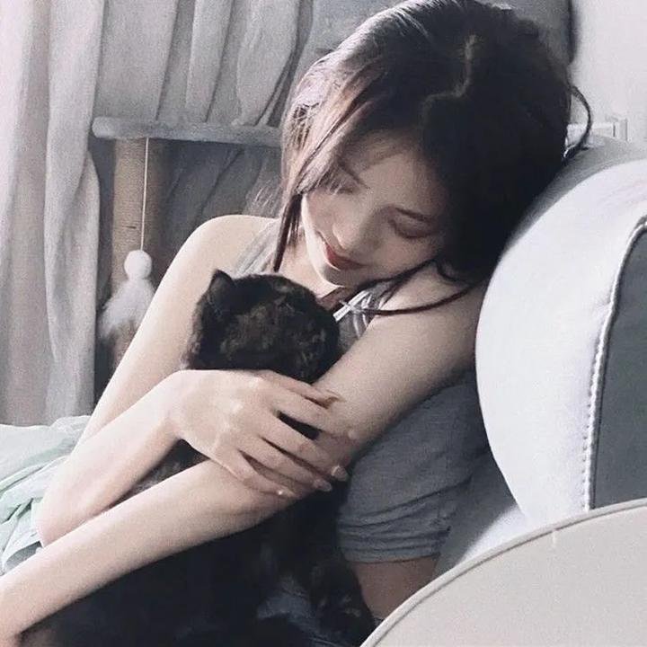探长与海:在黑森林中独行